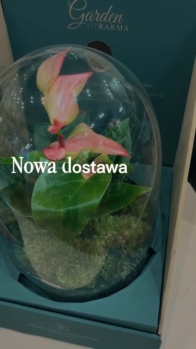 Kwiaciarnia Impresja